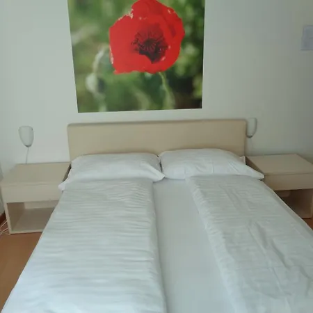 Hotell Castagnola 3*